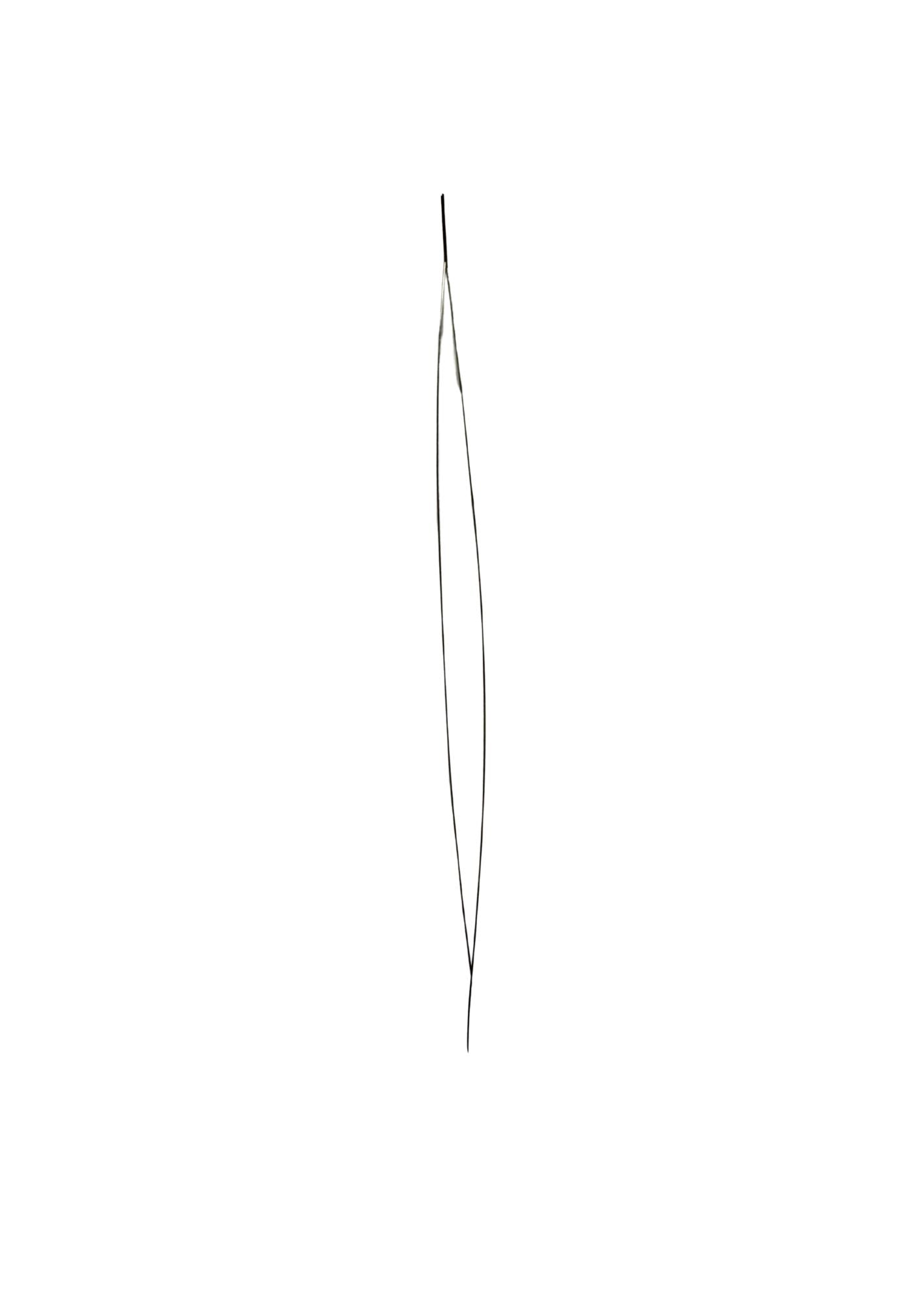 Split naald 115mm